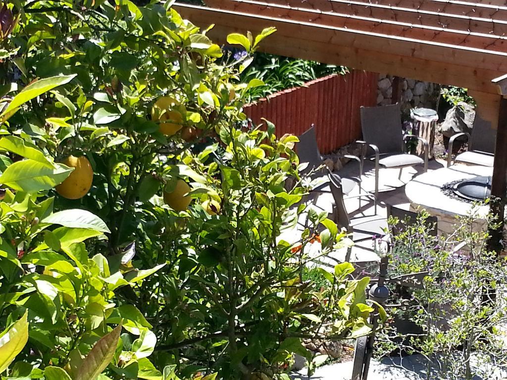 The Vendange Carmel Inn & Suites Екстериор снимка